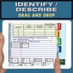 Chemical Bonding with Ionic and Covalent compounds Digital Interactive ...