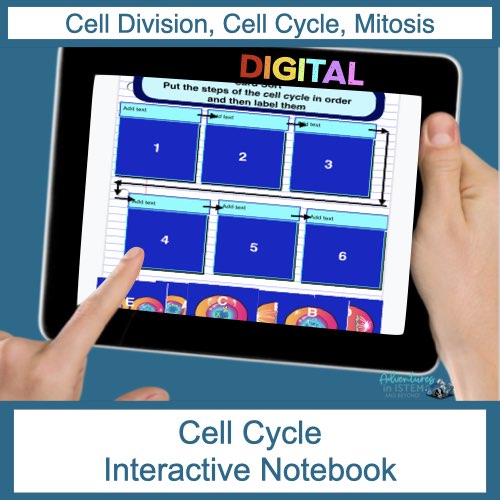 cell_cycle_digital_notebook