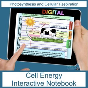 cell_energy_digital_notebook