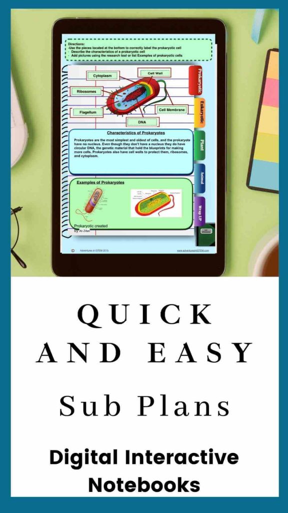 quick and easy sub plans digital interactive notebooks