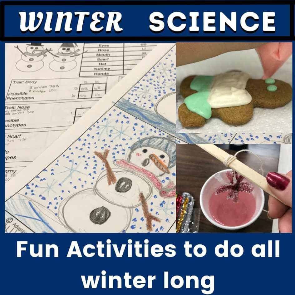fun winter science activities for students