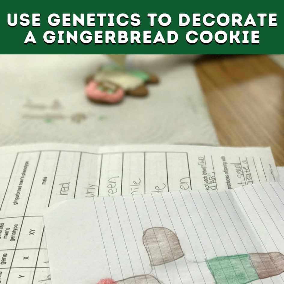 use genetics to decorate a gingerbread cookie