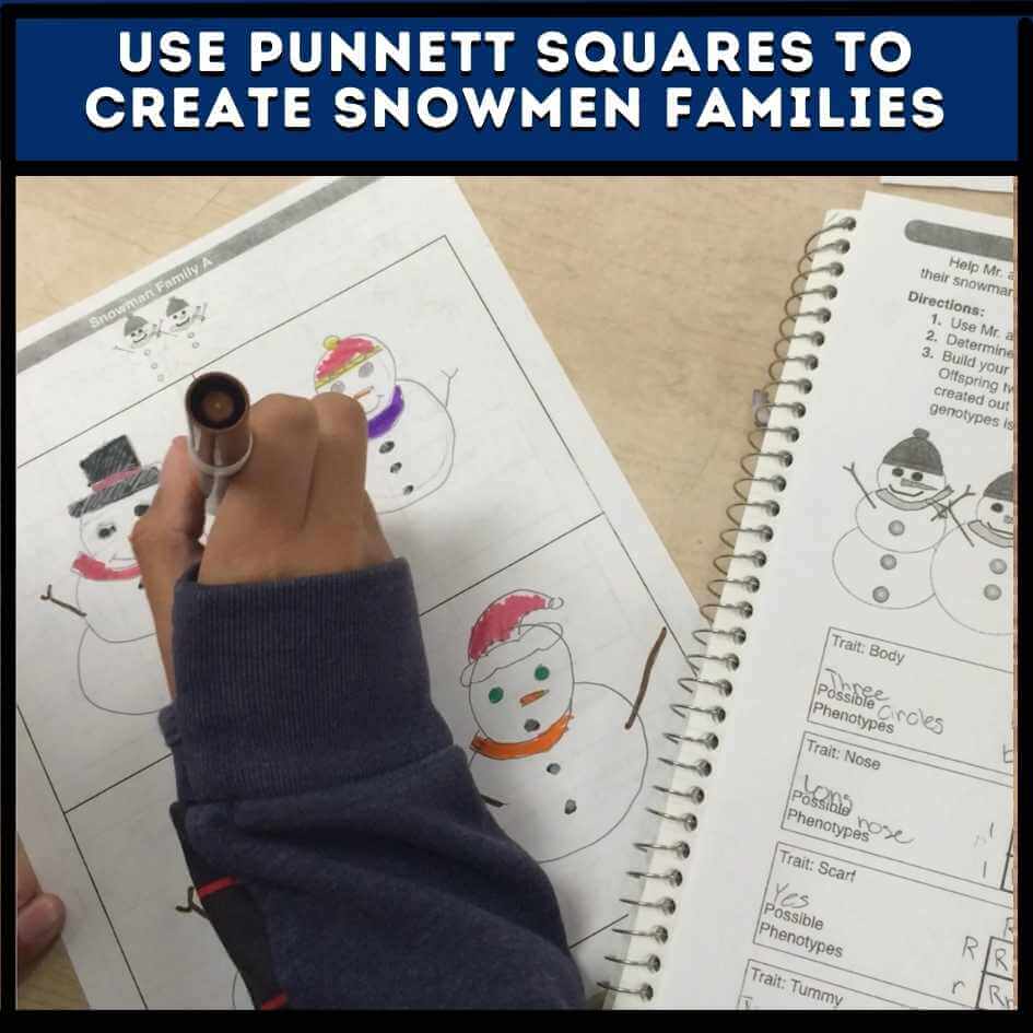 use punnett squares to create snowmen families