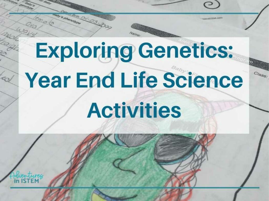 exploring genetics, year end life science activities