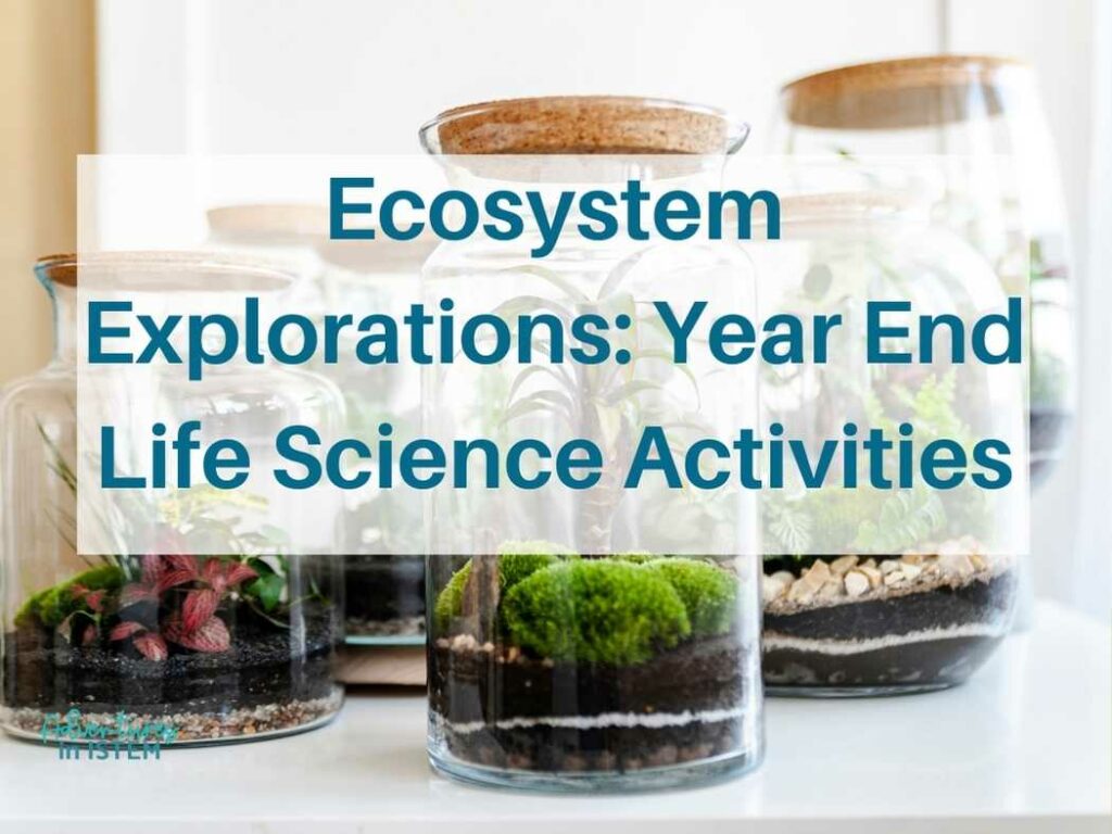 ecosystem explorations, year end life science activities