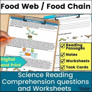 Energy flow in ecosystems middle school reading food chains & food web worksheet