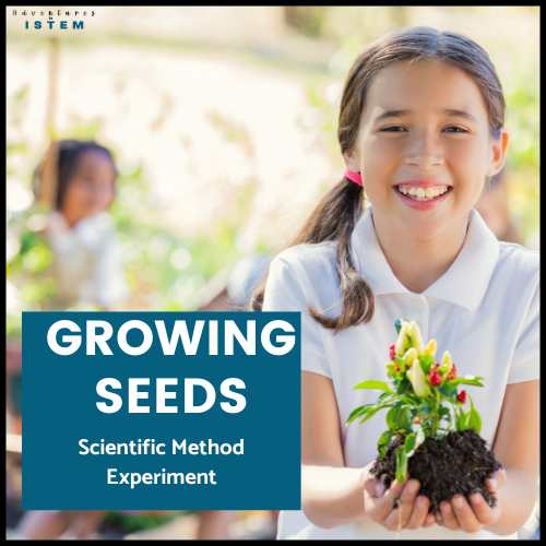 scientific method experiment activity growing seeds