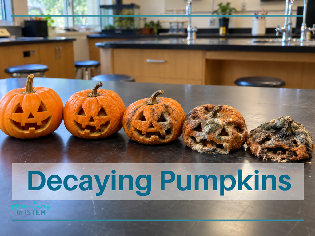 10 fall science activities for middle school 44